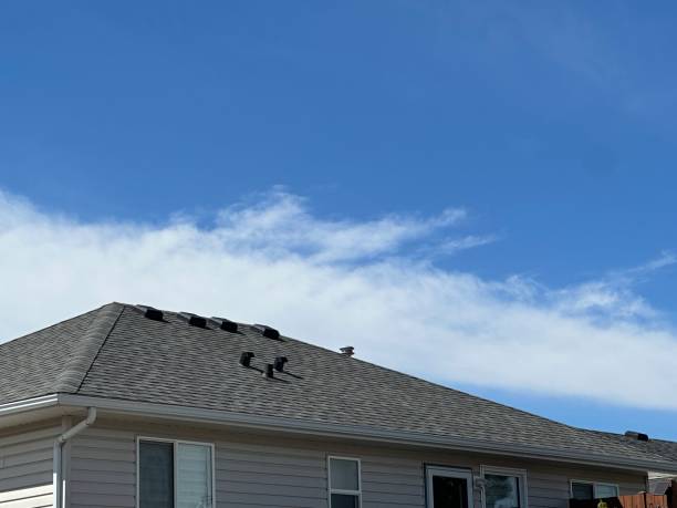 Best Roof Maintenance and Cleaning  in Burton, SC